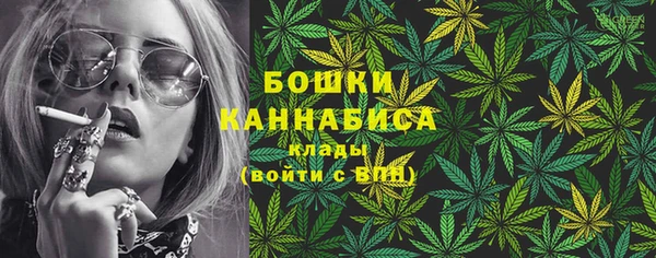 соль ск Белокуриха
