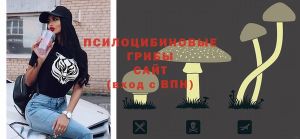 соль ск Белокуриха
