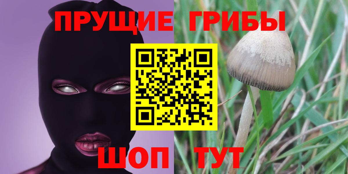 Галлюциногенные грибы MAGIC MUSHROOMS Губкинский
