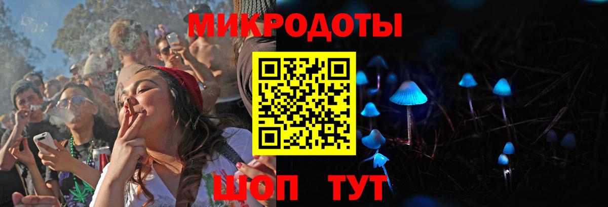 Галлюциногенные грибы Psilocybe  Вход с VPN  Губкинский 