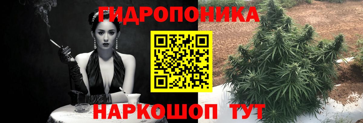 Марихуана OG Kush Губкинский